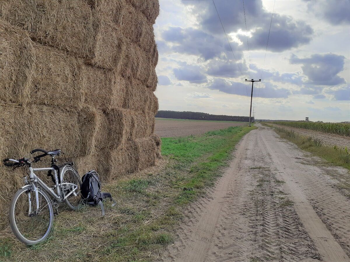 The abandoned train station in Jeber-Bergfrieden