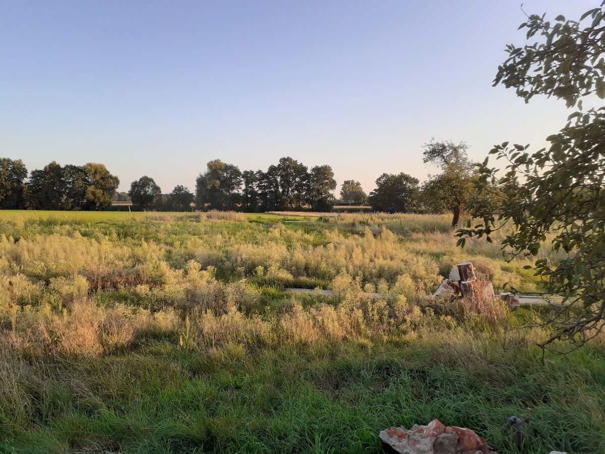 The land behind the barn